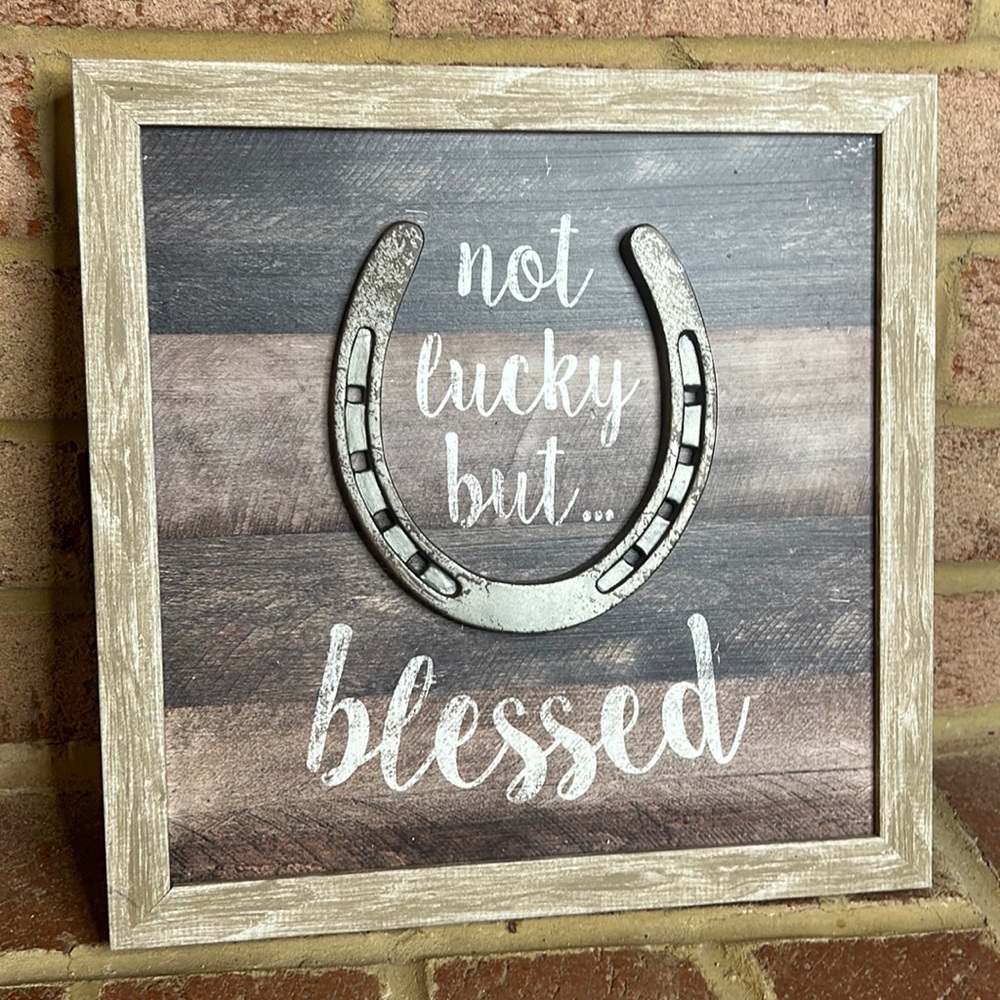 Not Lucky But Blessed Western Horseshoe Decor